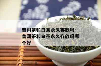 普洱茶和白茶永久存放吗-普洱茶和白茶永久存放吗哪个好