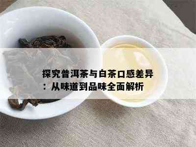 探究普洱茶与白茶口感差异：从味道到品味全面解析