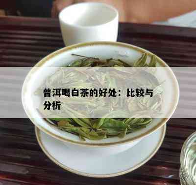 普洱喝白茶的好处：比较与分析