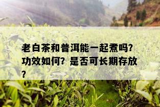 老白茶和普洱能一起煮吗？功效如何？是否可长期存放？