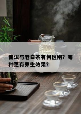 普洱与老白茶有何区别？哪种更有养生效果？