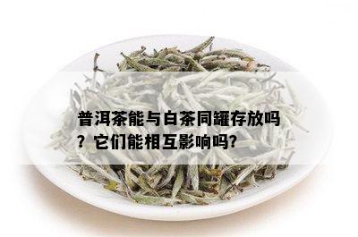 普洱茶能与白茶同罐存放吗？它们能相互影响吗？