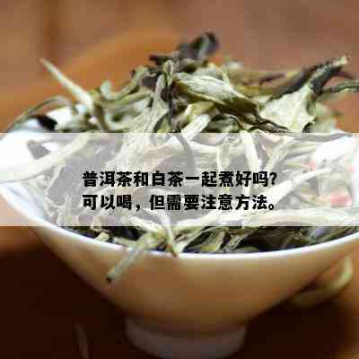 普洱茶和白茶一起煮好吗？可以喝，但需要注意方法。