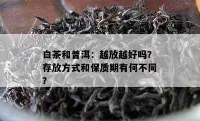 白茶和普洱：越放越好吗？存放方式和保质期有何不同？