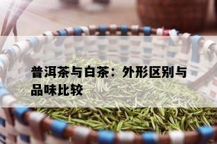 普洱茶与白茶：外形区别与品味比较