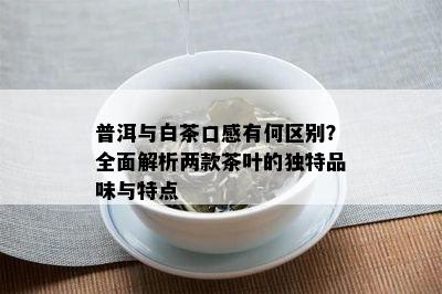 普洱与白茶口感有何区别？全面解析两款茶叶的独特品味与特点