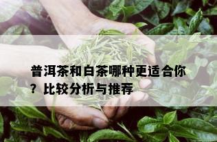 普洱茶和白茶哪种更适合你？比较分析与推荐