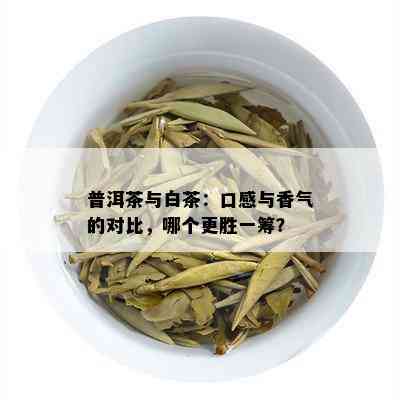 普洱茶与白茶：口感与香气的对比，哪个更胜一筹？