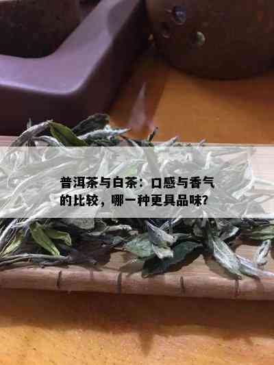 普洱茶与白茶：口感与香气的比较，哪一种更具品味？