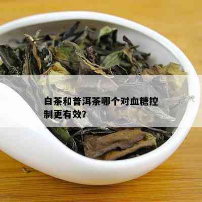 白茶和普洱茶哪个对血糖控制更有效？