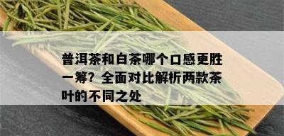 普洱茶和白茶哪个口感更胜一筹？全面对比解析两款茶叶的不同之处