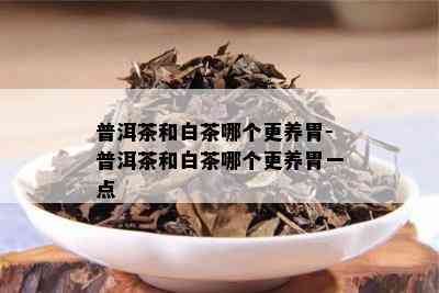 普洱茶和白茶哪个更养胃-普洱茶和白茶哪个更养胃一点