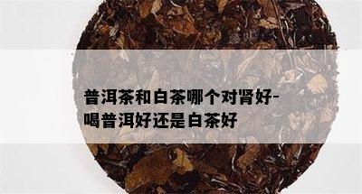 普洱茶和白茶哪个对肾好-喝普洱好还是白茶好