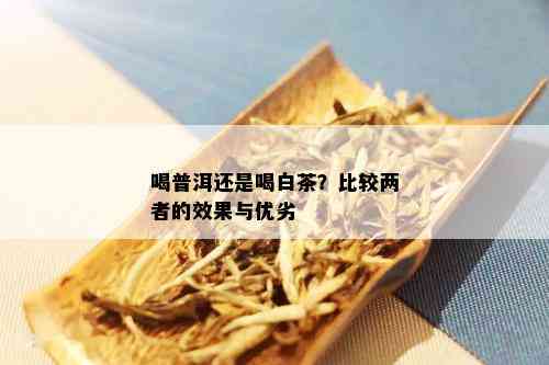 喝普洱还是喝白茶？比较两者的效果与优劣