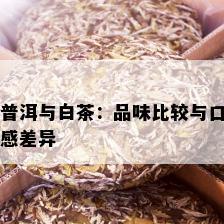 普洱与白茶：品味比较与口感差异