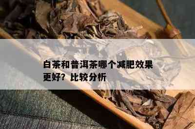 白茶和普洱茶哪个减肥效果更好？比较分析