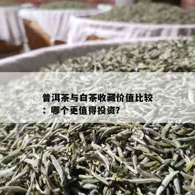 普洱茶与白茶收藏价值比较：哪个更值得投资？