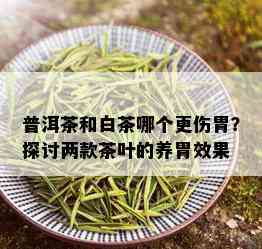 普洱茶和白茶哪个更伤胃？探讨两款茶叶的养胃效果