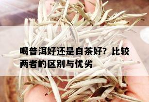 喝普洱好还是白茶好？比较两者的区别与优劣