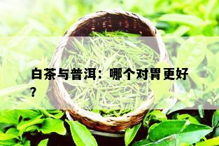 白茶与普洱：哪个对胃更好？