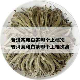 普洱茶和白茶哪个上档次-普洱茶和白茶哪个上档次高