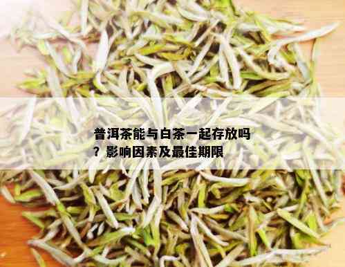 普洱茶能与白茶一起存放吗？影响因素及更佳期限