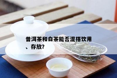 普洱茶和白茶能否混搭饮用、存放？