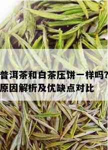 普洱茶和白茶压饼一样吗？原因解析及优缺点对比