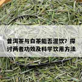 普洱茶与白茶能否混饮？探讨两者功效及科学饮用方法