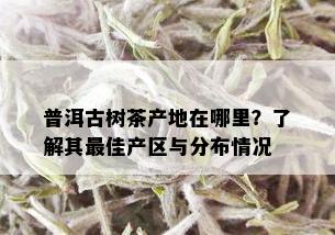 普洱古树茶产地在哪里？了解其更佳产区与分布情况