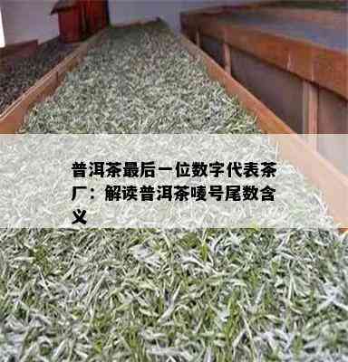 普洱茶最后一位数字代表茶厂：解读普洱茶唛号尾数含义