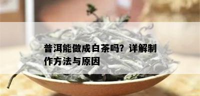 普洱能做成白茶吗？详解制作方法与原因