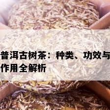 普洱古树茶：种类、功效与作用全解析