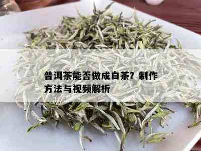 普洱茶能否做成白茶？制作方法与视频解析