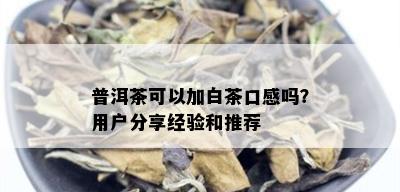 普洱茶可以加白茶口感吗？用户分享经验和推荐