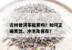 古树普洱茶能煮吗？如何正确煮饮、冲泡及保存？