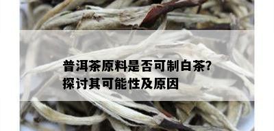 普洱茶原料是否可制白茶？探讨其可能性及原因