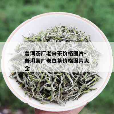 普洱茶厂老白茶价格图片-普洱茶厂老白茶价格图片大全