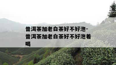 普洱茶加老白茶好不好泡-普洱茶加老白茶好不好泡着喝