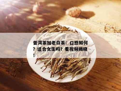 普洱茶加老白茶：口感如何？适合女生吗？看视频揭晓！