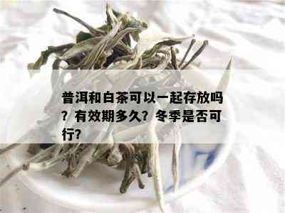 普洱和白茶可以一起存放吗？有效期多久？冬季是否可行？