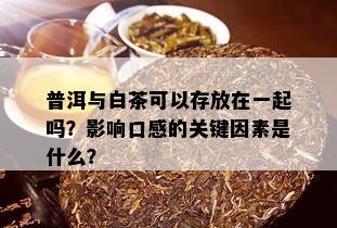 普洱与白茶可以存放在一起吗？影响口感的关键因素是什么？