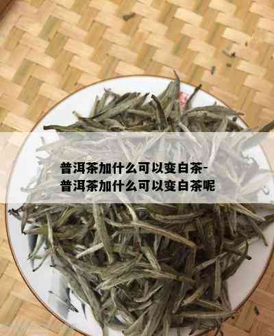 普洱茶加什么可以变白茶-普洱茶加什么可以变白茶呢