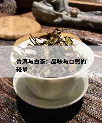 普洱与白茶：品味与口感的较量