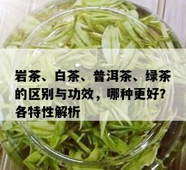 岩茶、白茶、普洱茶、绿茶的区别与功效，哪种更好？各特性解析