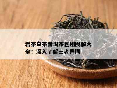 岩茶白茶普洱茶区别图解大全：深入了解三者异同