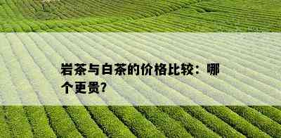 岩茶与白茶的价格比较：哪个更贵？