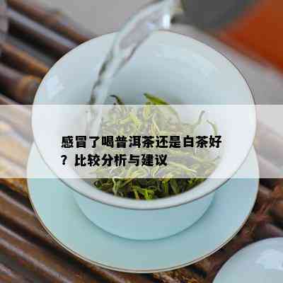 感冒了喝普洱茶还是白茶好？比较分析与建议