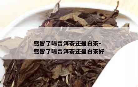 感冒了喝普洱茶还是白茶-感冒了喝普洱茶还是白茶好