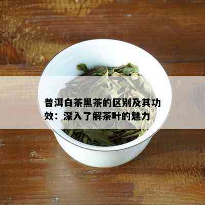 普洱白茶黑茶的区别及其功效：深入了解茶叶的魅力